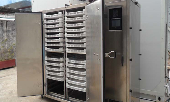 Other Low Temperature Dryer - Box Type