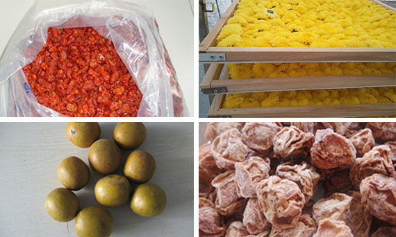 Flowers /Fruits &Vegtables